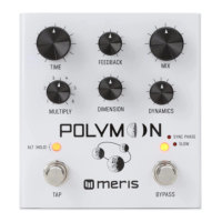 Preview: Meris Polymoon