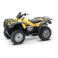 Preview: Honda TRX400FA 2005