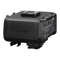 Preview: Panasonic Lumix DMW-XLR1