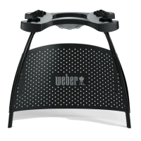 Preview: Weber Q-Stand