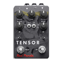 Preview: Red Panda TENSOR