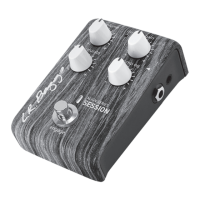 Preview: L.R. Baggs ALIGN SERIES SESSION