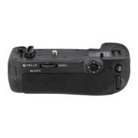 Preview: Vello BG-N19
