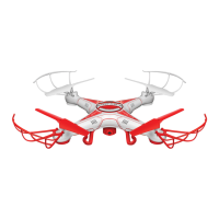 Preview: WORLD TECH ELITE STRIKER-X