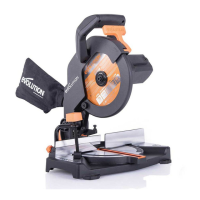 Preview: Evolution R210 CMS