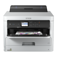 Preview: Epson WF-C5210
