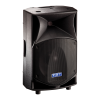 Speaker System Logo