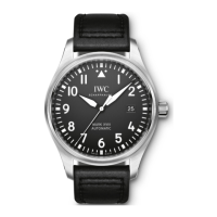 Preview: iwc MARK XVIII