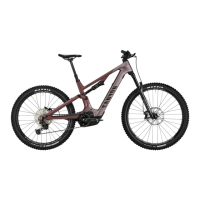Preview: Canyon Spectral On