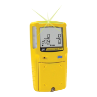 Preview: GasAlertMax XT II