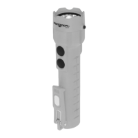 Preview: NightStick XPP-5422GM