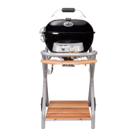 Preview: Outdoorchef AMBRI 480 G