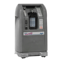 Preview: AirSep NewLife Intensity 10