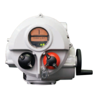 Preview: rotork IQT