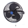 Fan Logo