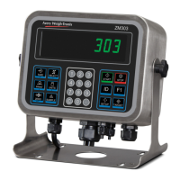 Preview: Avery Weigh-Tronix ZM303