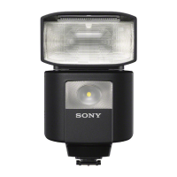 Preview: Sony HVL-F45RM