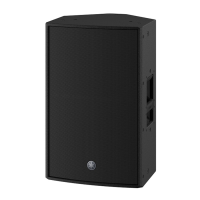 Preview: Yamaha DZR315