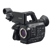 Preview: Sony FS5