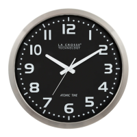 Preview: La Crosse Technology WT-3161