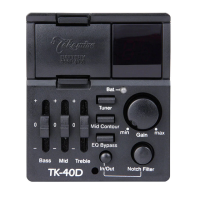 Preview: Takamine TK-40