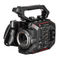 Preview: Panasonic AU-EVA1