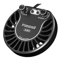 Preview: Kessil A80