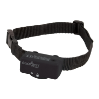 Preview: Guardian Anti-Bark Collar