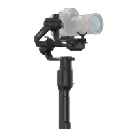 Preview: dji Ronin-S