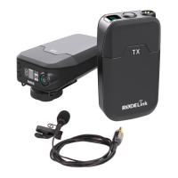 Preview: Rodelink filmmaker
