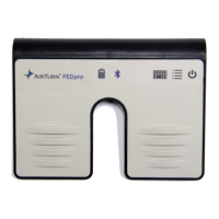 Preview: AirTurn PEDpro