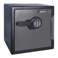 Preview: SentrySafe SFW123ES