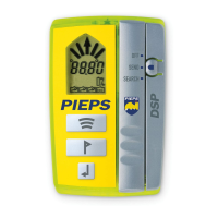 Preview: PIEPS DSP