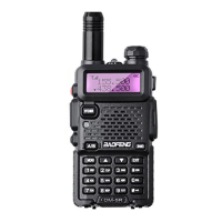 Preview: Baofeng DM-5R