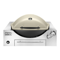 Preview: Weber 3600