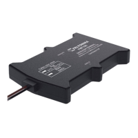 Preview: Teltonika FMT100