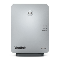 Preview: Yealink RT30