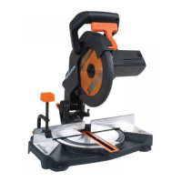 Preview: Evolution R255SMS