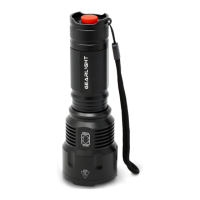 Preview: Gear Light S1200