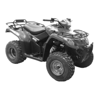 Preview: Arctic Cat DVX 250