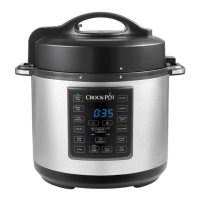 Preview: Crock-Pot CPE200