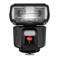 Preview: Leica SF 60