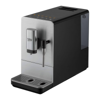 Preview: Beko CEG5311X