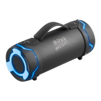 Preview: Boss Audio Systems TUBE