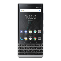 Preview: Blackberry BBF100-1