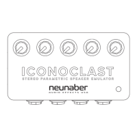 Preview: Neunaber ICONOCLAST