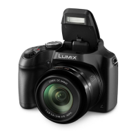 Preview: Panasonic Lumix FZ80