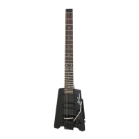 Preview: Spirit STEINBERGER