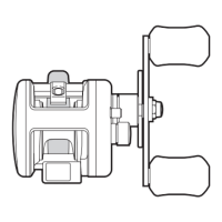 Preview: Shimano Calcutta 200B