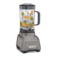 Preview: Cuisinart Hurricane
